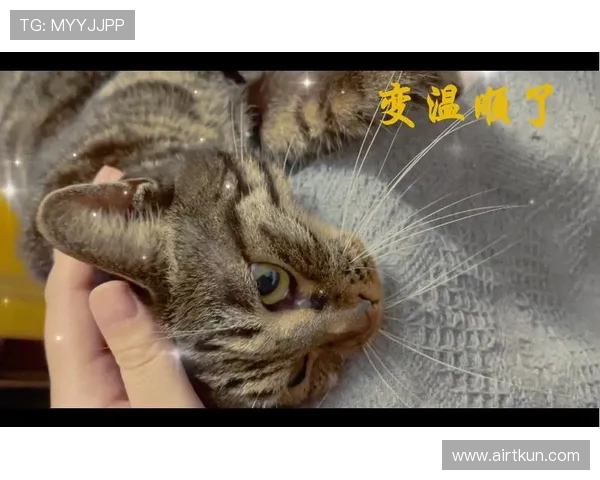 瀹借惃鎹ц捣娆ч潚璧涘啝鍐涘鏉紒绾㈠啗鐢熸动瀹岀編璋㈠箷